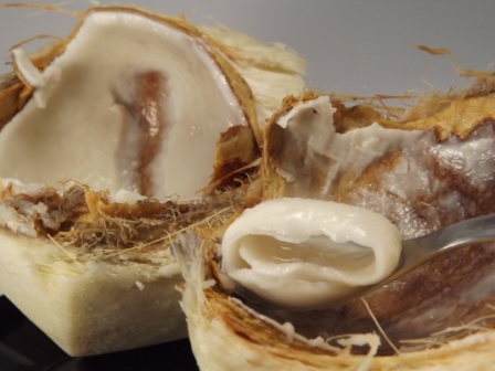 Fleisch der Kokos für natives Kokosöl