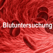 Blutuntersuchung: Warum man sein Blut untersuchen lassen sollte